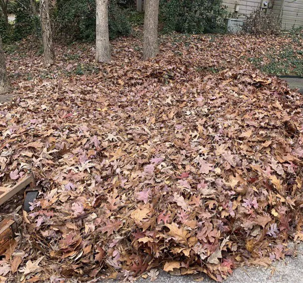 Affordable landscape design in Powder Springs, GA - Sun Valley Landscaping