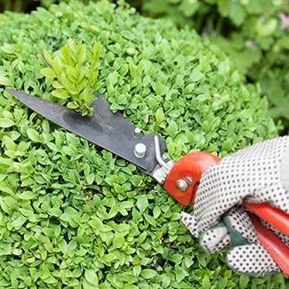 Local lawn mowing service in Wittmann, AZ - Sun Valley Yard Service & Landscape