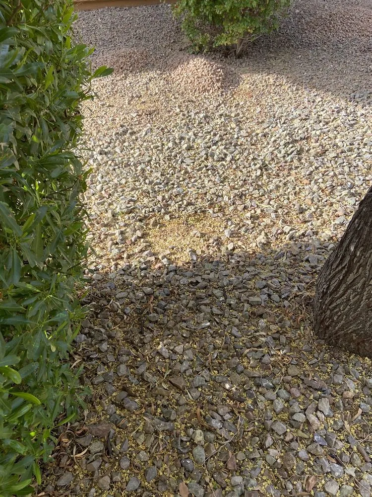 Local landscape design in Wittmann, AZ by Sun Valley Yard Service & Landscape