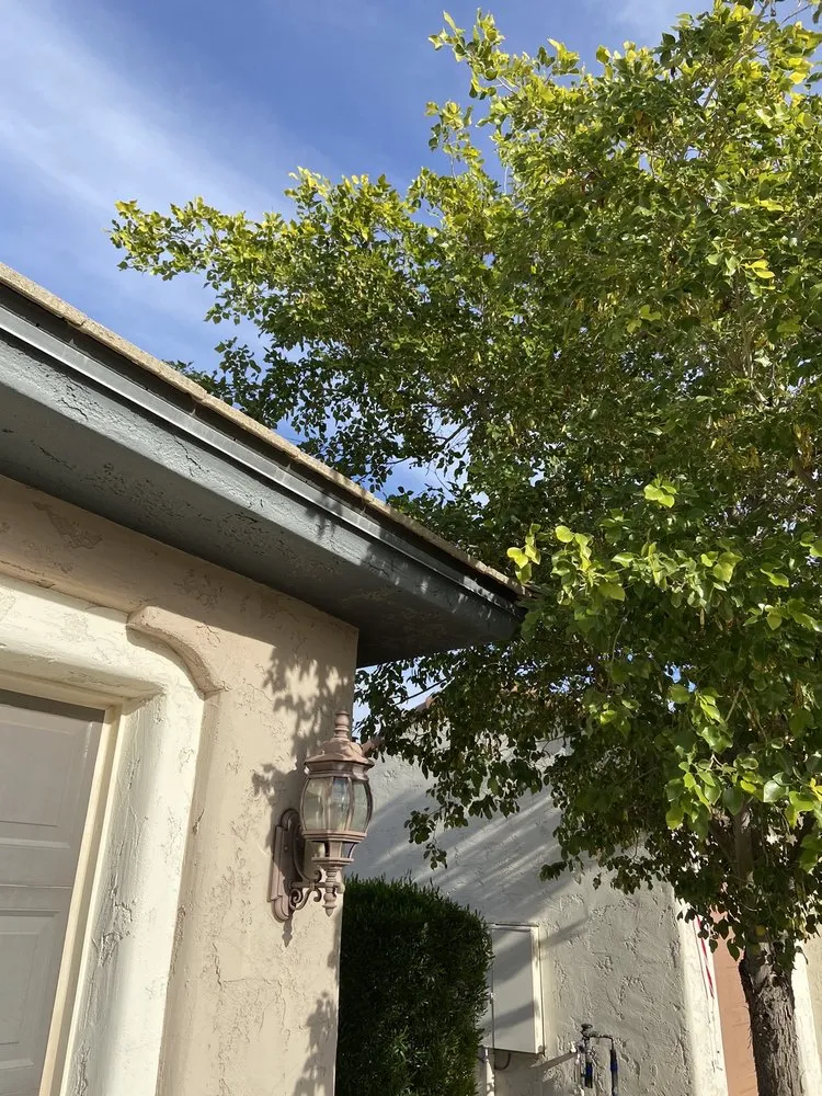 Affordable yard cleanup service for beautiful yards in Wittmann, AZ by Sun Valley Yard Service & Landscape