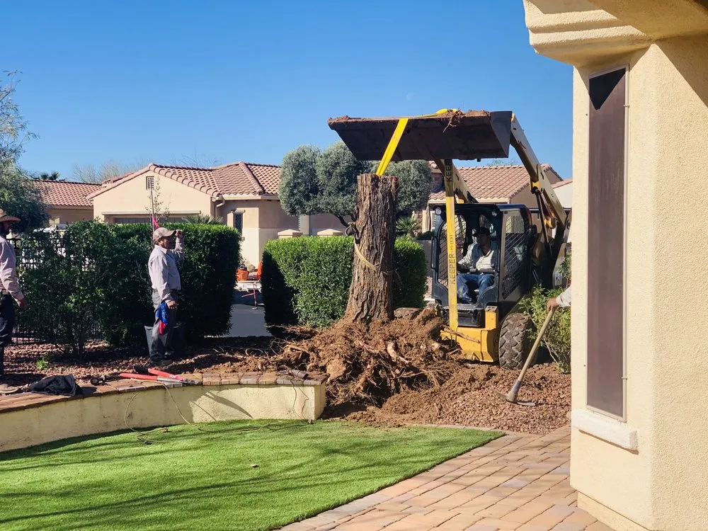 Custom residential landscaping in Wittmann, AZ by Sun Valley Yard Service & Landscape