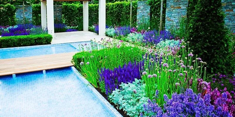 Custom landscaping services for beautiful yards across Wittmann, AZ - Sun Valley Yard Service & Landscape