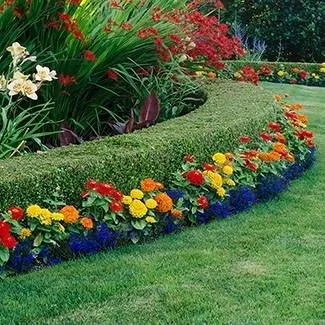 Affordable residential landscaping experts serving Wittmann, AZ - Sun Valley Yard Service & Landscape