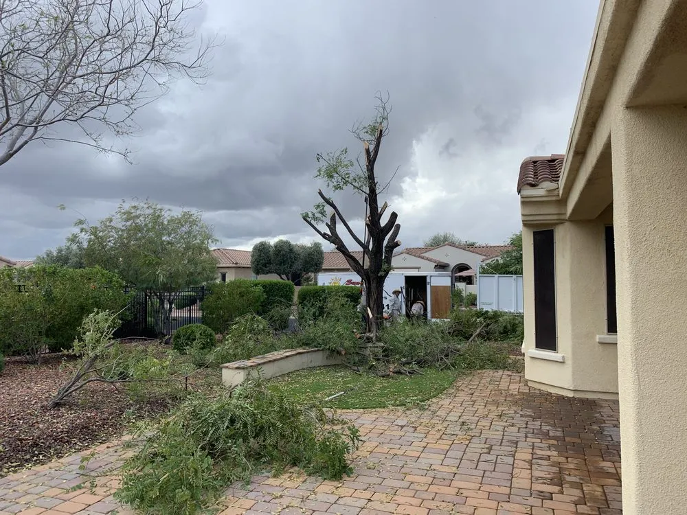 Custom yard maintenance in Wittmann, AZ - Sun Valley Yard Service & Landscape