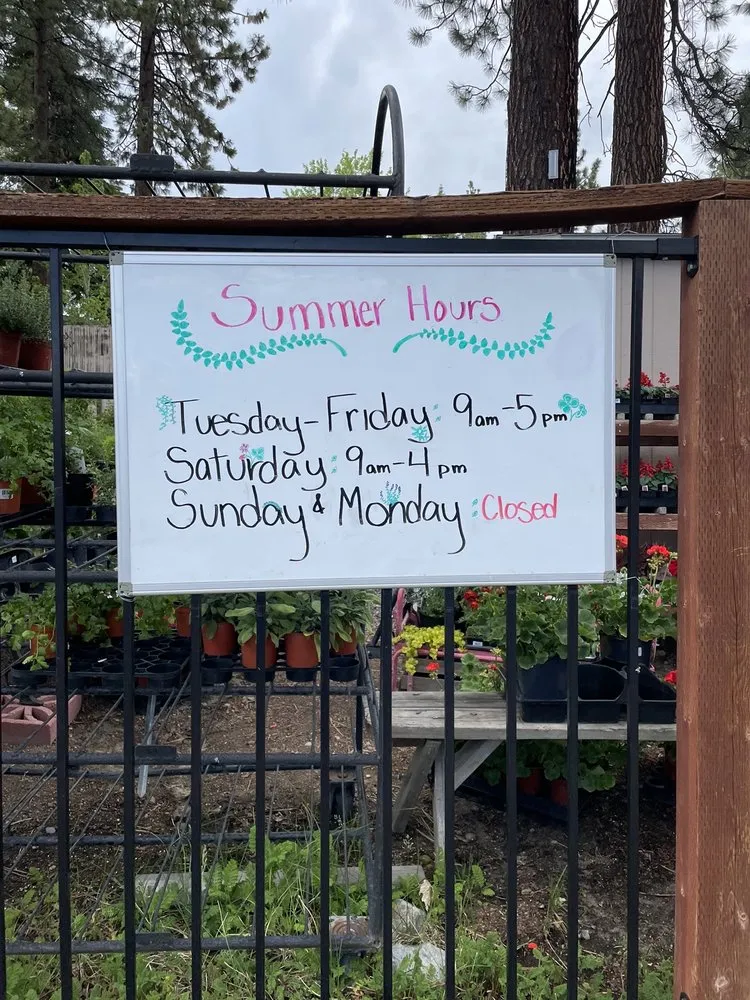 Affordable lawn mowing service near you across Stateline, NV - Sunbasin Landscape & Nursery