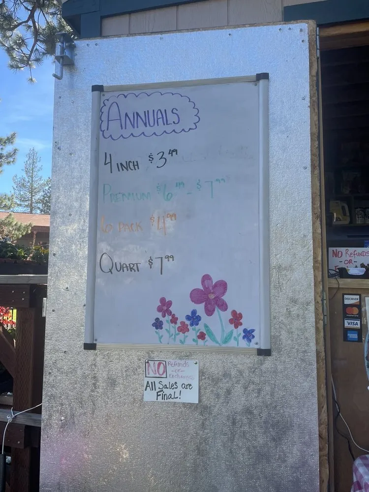 Reliable landscape installation experts serving Stateline, NV - Sunbasin Landscape & Nursery