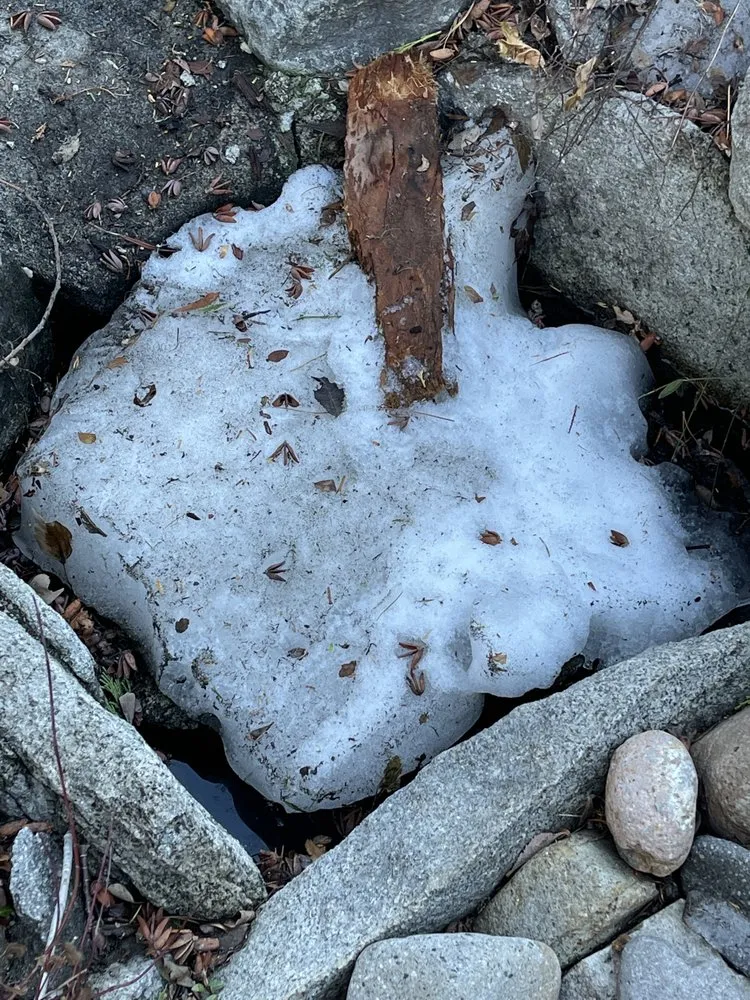 Top-rated landscape installation experts serving Stateline, NV - Sunbasin Landscape & Nursery