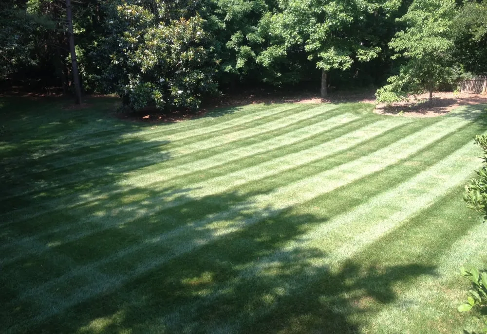 Affordable residential landscaping for residential properties in Charlotte, NC by Sunbelt Lawn Care