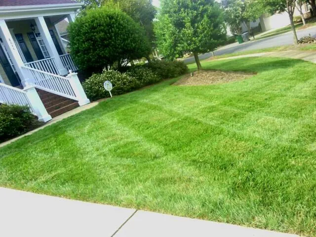 Expert lawn mowing service experts serving Charlotte, NC - Sunbelt Lawn Care