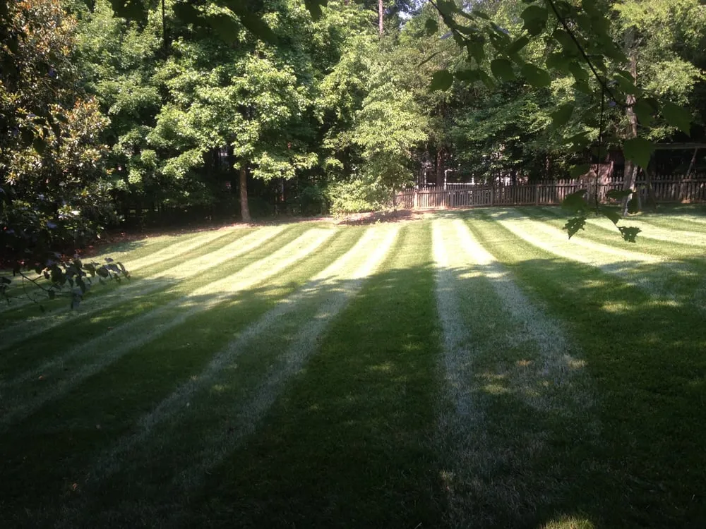 Professional lawn mowing service experts serving Charlotte, NC - Sunbelt Lawn Care