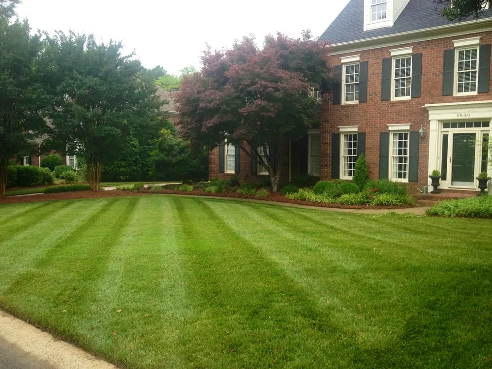 Professional yard maintenance with custom design across Charlotte, NC - Sunbelt Lawn Care