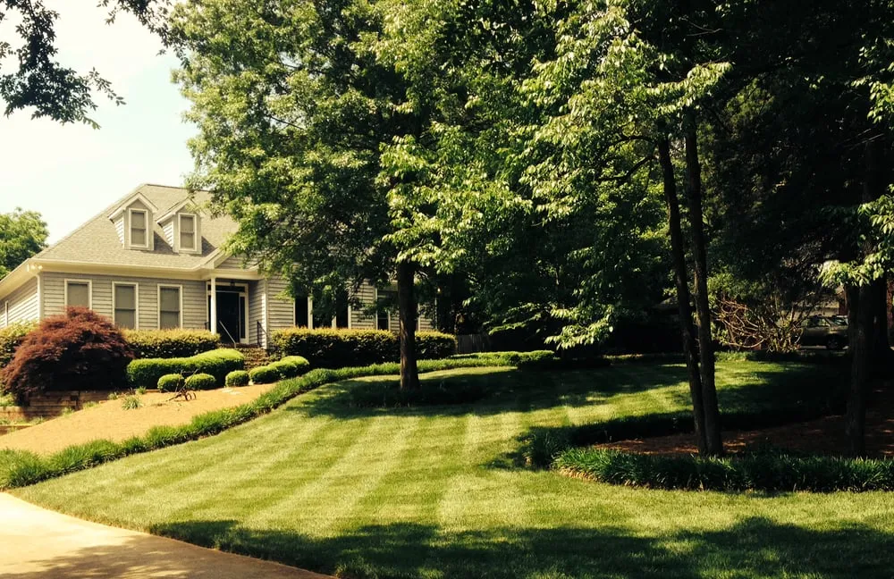 Top-rated outdoor landscaping for residential properties in Charlotte, NC by Sunbelt Lawn Care