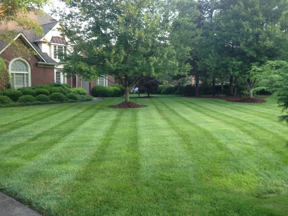 Expert landscaping services experts serving Charlotte, NC - Sunbelt Lawn Care