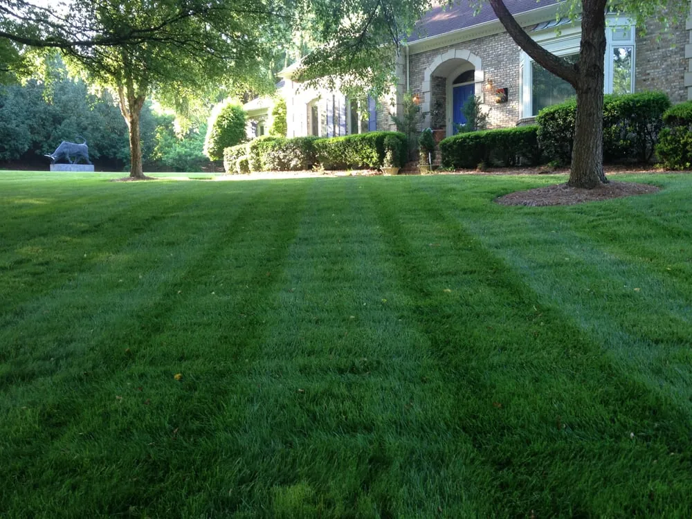 Local landscape design near you across Charlotte, NC - Sunbelt Lawn Care
