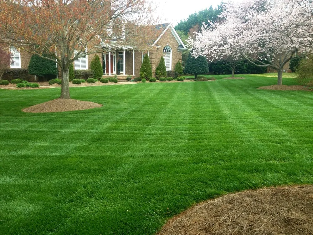Custom yard maintenance with custom design across Charlotte, NC - Sunbelt Lawn Care