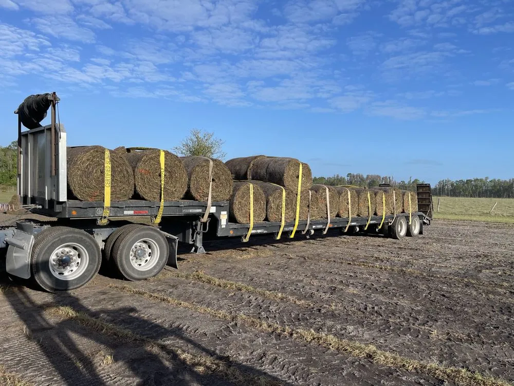 Top-rated outdoor landscaping in Ruskin, FL - Sunbelt Sod & Grading