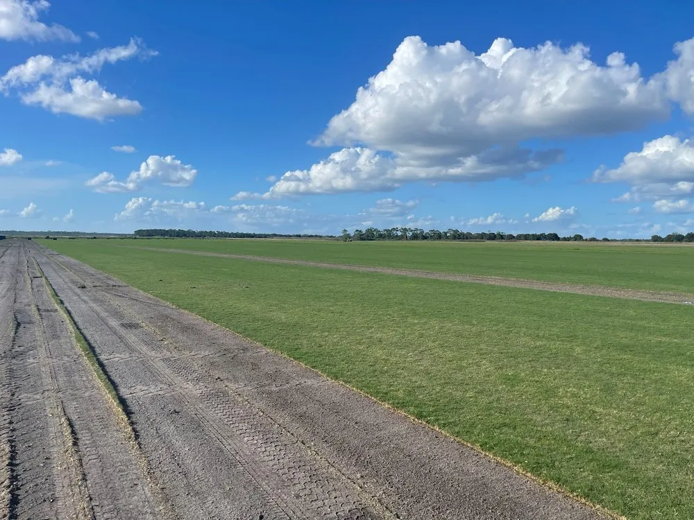 Local yard maintenance for residential properties in Ruskin, FL by Sunbelt Sod & Grading