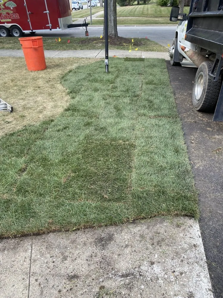 Professional landscape installation for outdoor upgrades across Winfield, IL - Sunbird Landscaping