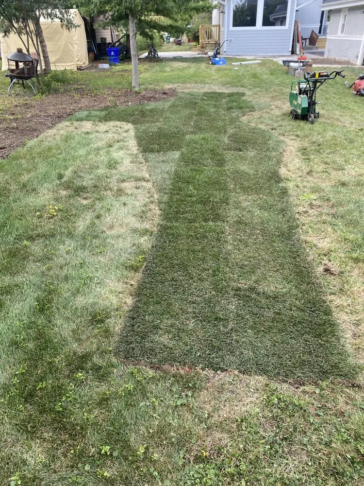 Trusted yard maintenance in Winfield, IL by Sunbird Landscaping