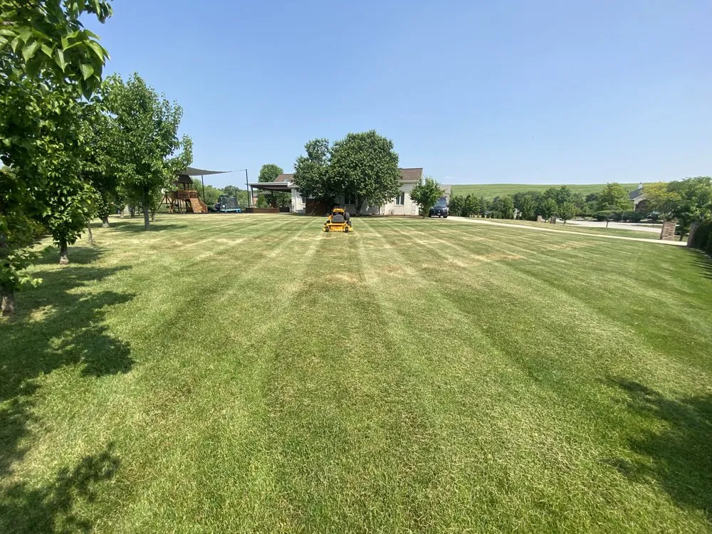 Expert lawn mowing service in Winfield, IL by Sunbird Landscaping