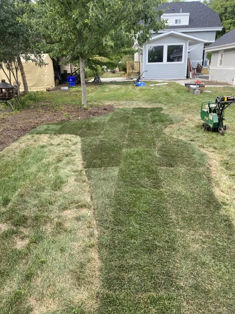 Affordable yard cleanup service in Winfield, IL by Sunbird Landscaping