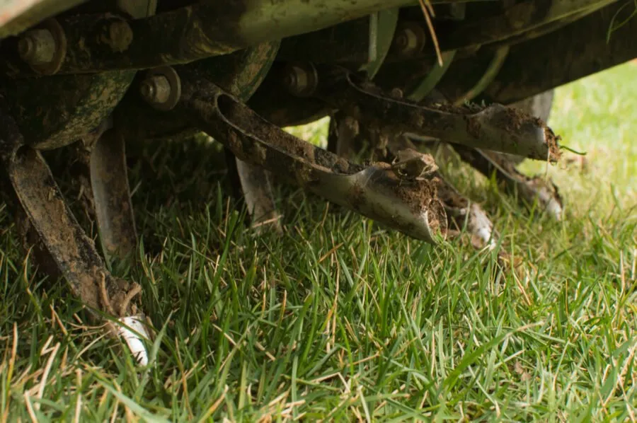 Local residential landscaping in Indianapolis, IN by SunBlest Lawn Care