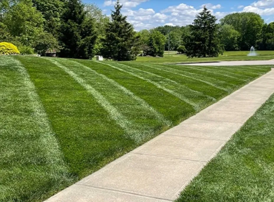 Professional lawn care service for outdoor upgrades across Indianapolis, IN - SunBlest Lawn Care