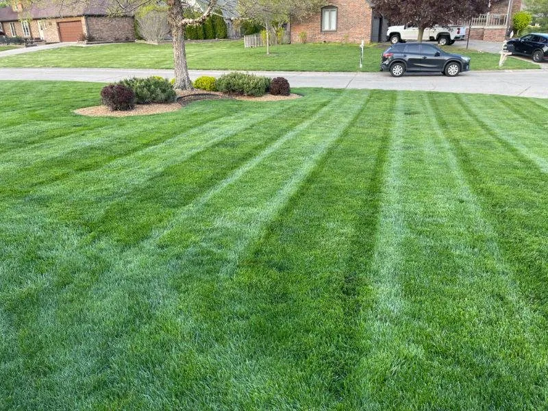 Trusted residential landscaping in Indianapolis, IN - SunBlest Lawn Care