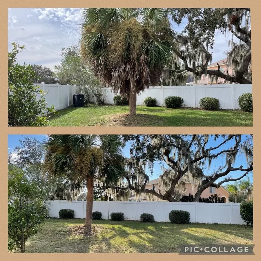 Custom yard maintenance in Riverview, FL by Sunbreeze Lawn Care