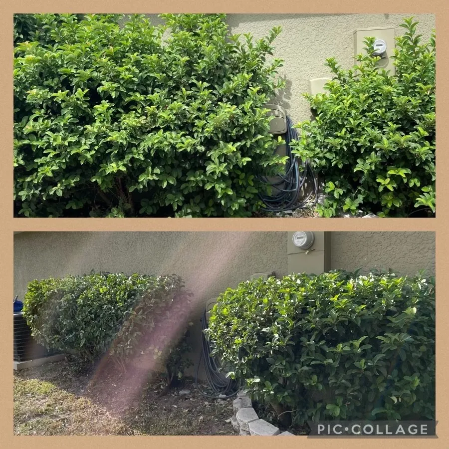 Expert residential landscaping experts serving Riverview, FL - Sunbreeze Lawn Care