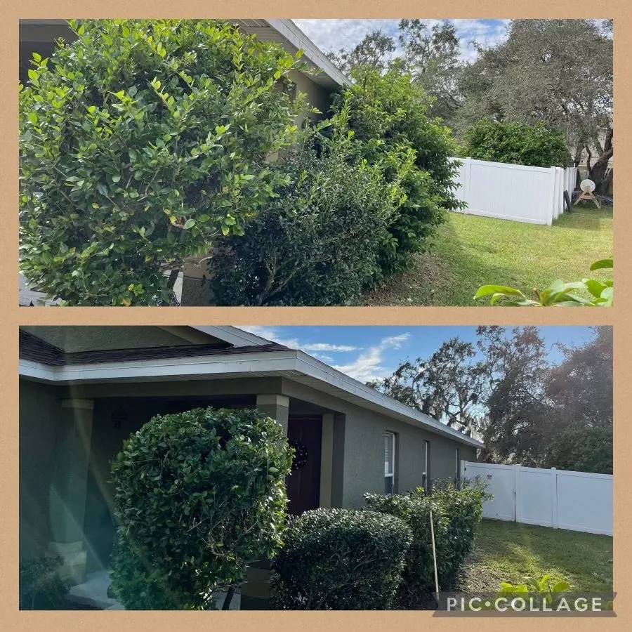 Local yard cleanup service with custom design across Riverview, FL - Sunbreeze Lawn Care