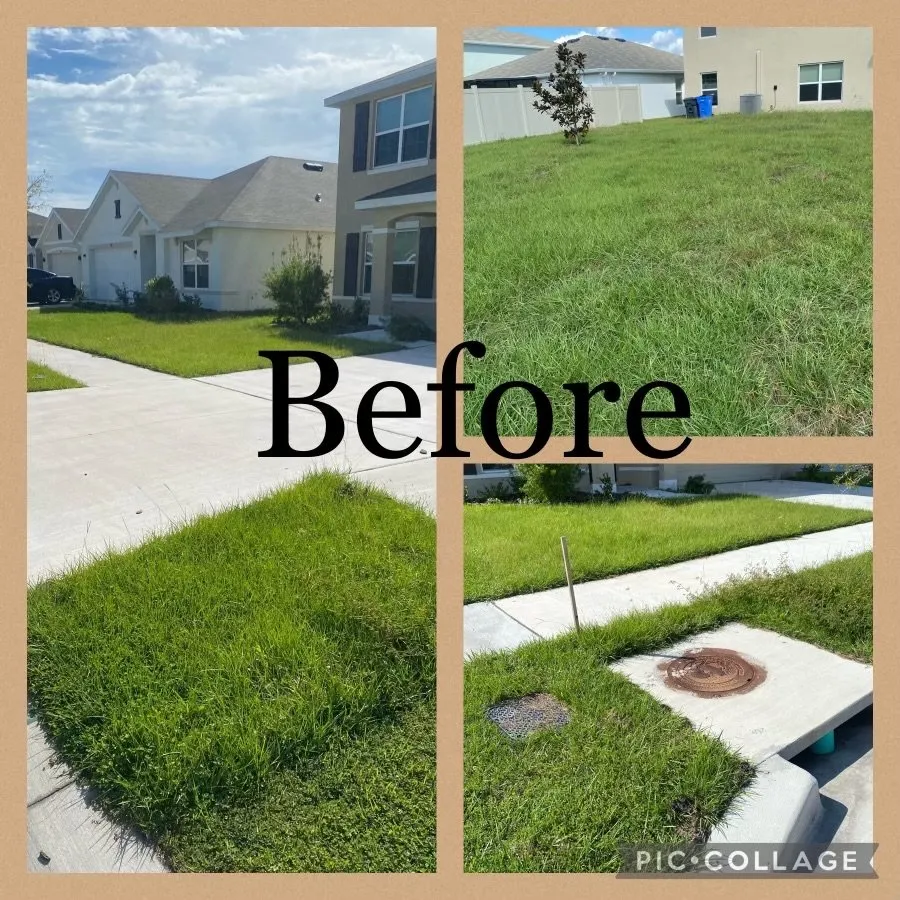 Expert garden landscaping in Riverview, FL by Sunbreeze Lawn Care