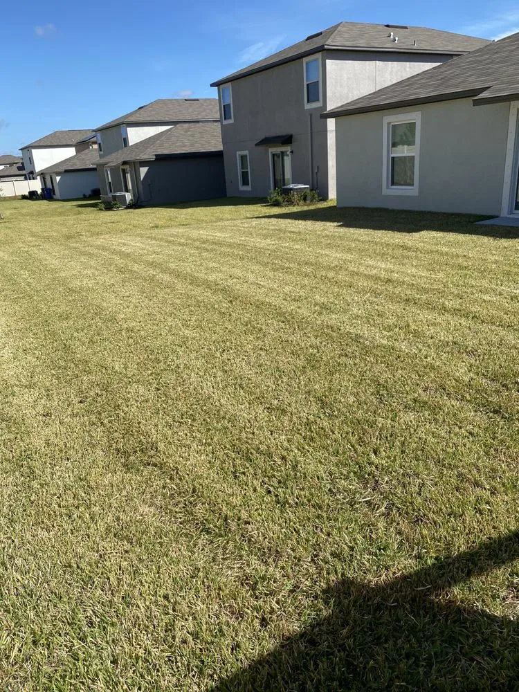 Professional yard cleanup service in Riverview, FL by Sunbreeze Lawn Care