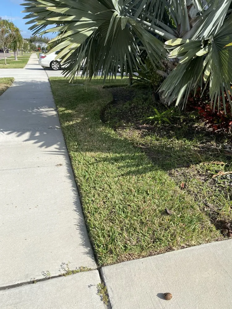 Custom landscape installation for outdoor upgrades across Riverview, FL - Sunbreeze Lawn Care