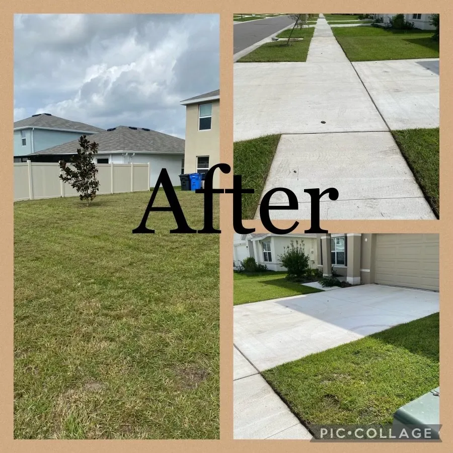 Affordable lawn care service in Riverview, FL by Sunbreeze Lawn Care
