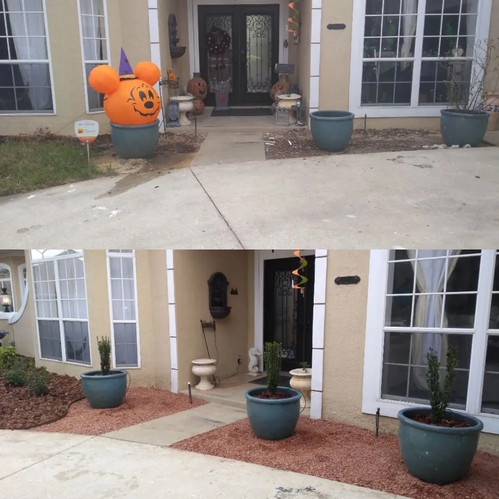 Professional lawn care service in Clermont, FL by Sunbright Landscape