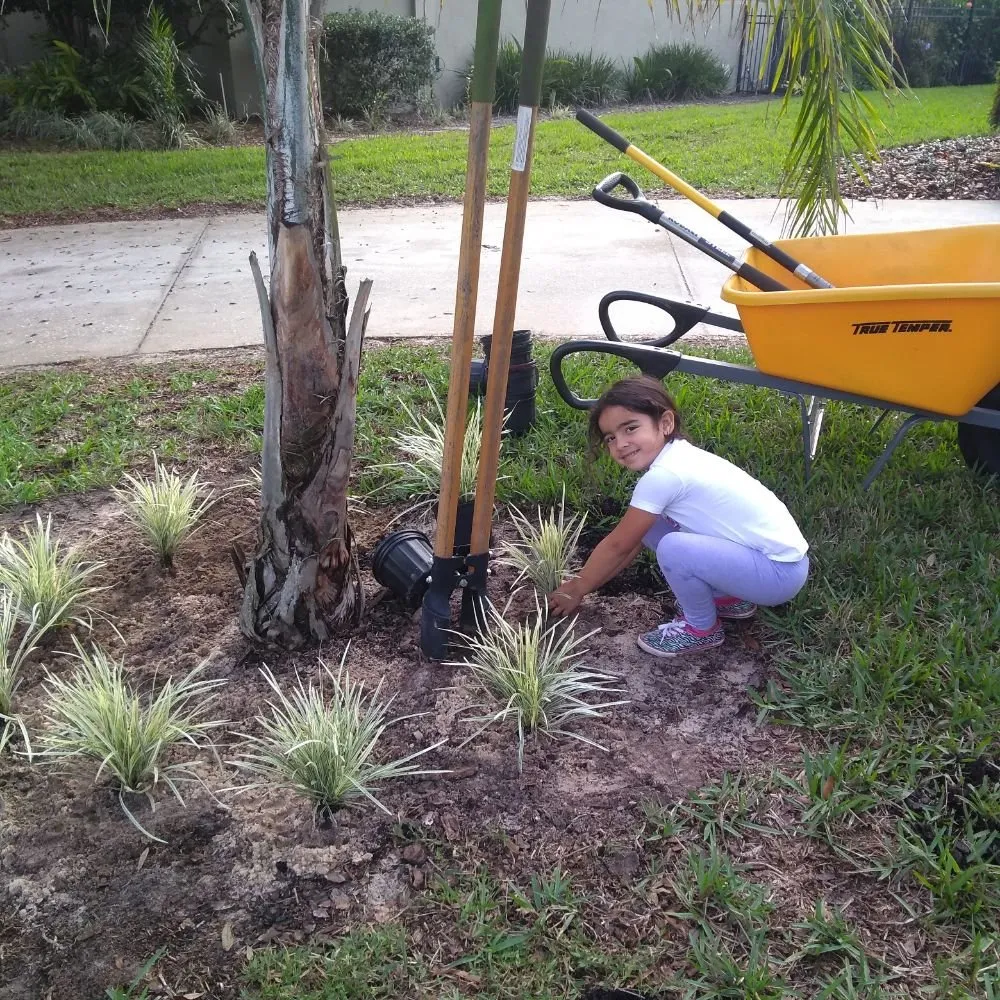 Custom landscaping services for year-round maintenance across Clermont, FL - Sunbright Landscape