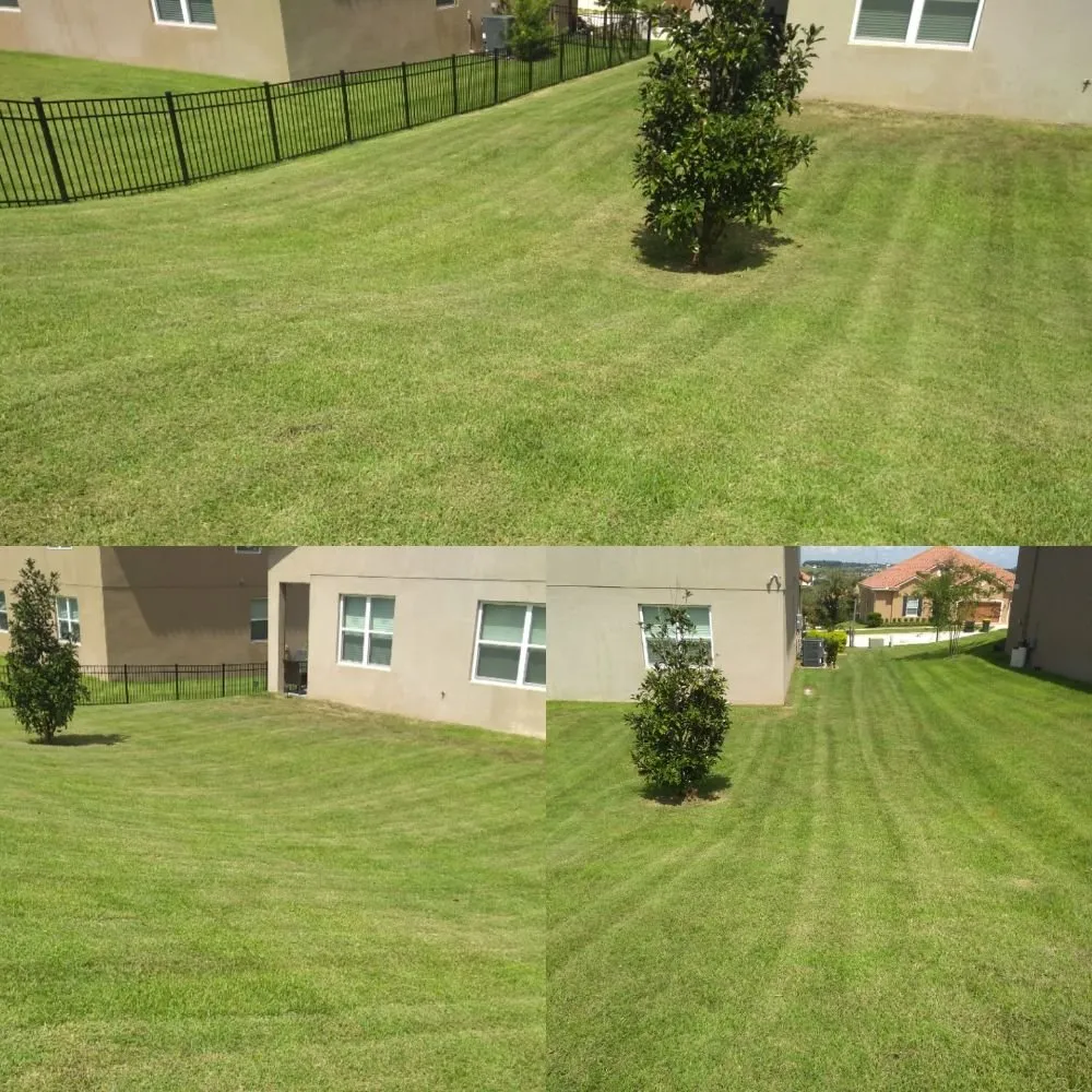 Trusted lawn mowing service experts serving Clermont, FL - Sunbright Landscape