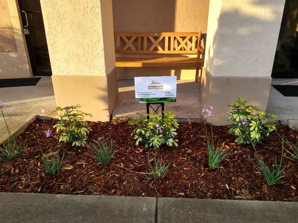 Affordable outdoor landscaping for residential properties across Clermont, FL - Sunbright Landscape