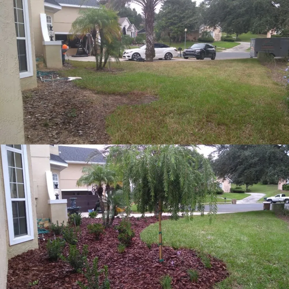 Top-rated residential landscaping in Clermont, FL by Sunbright Landscape