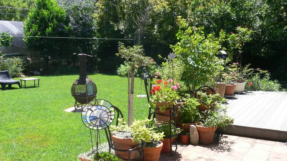 Reliable yard cleanup service experts serving Austin, TX - Sunburst Creativescapes