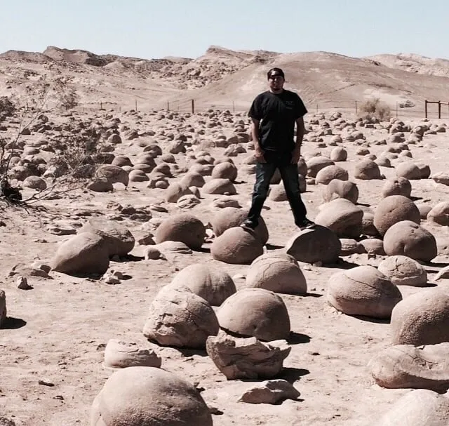 Affordable lawn care service for homes across Irwindale, CA - Sunburst Decorative Rock