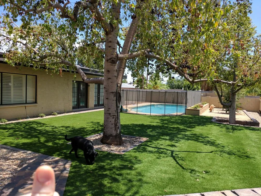 Custom landscape design in Peoria, AZ - Sunburst Landscaping