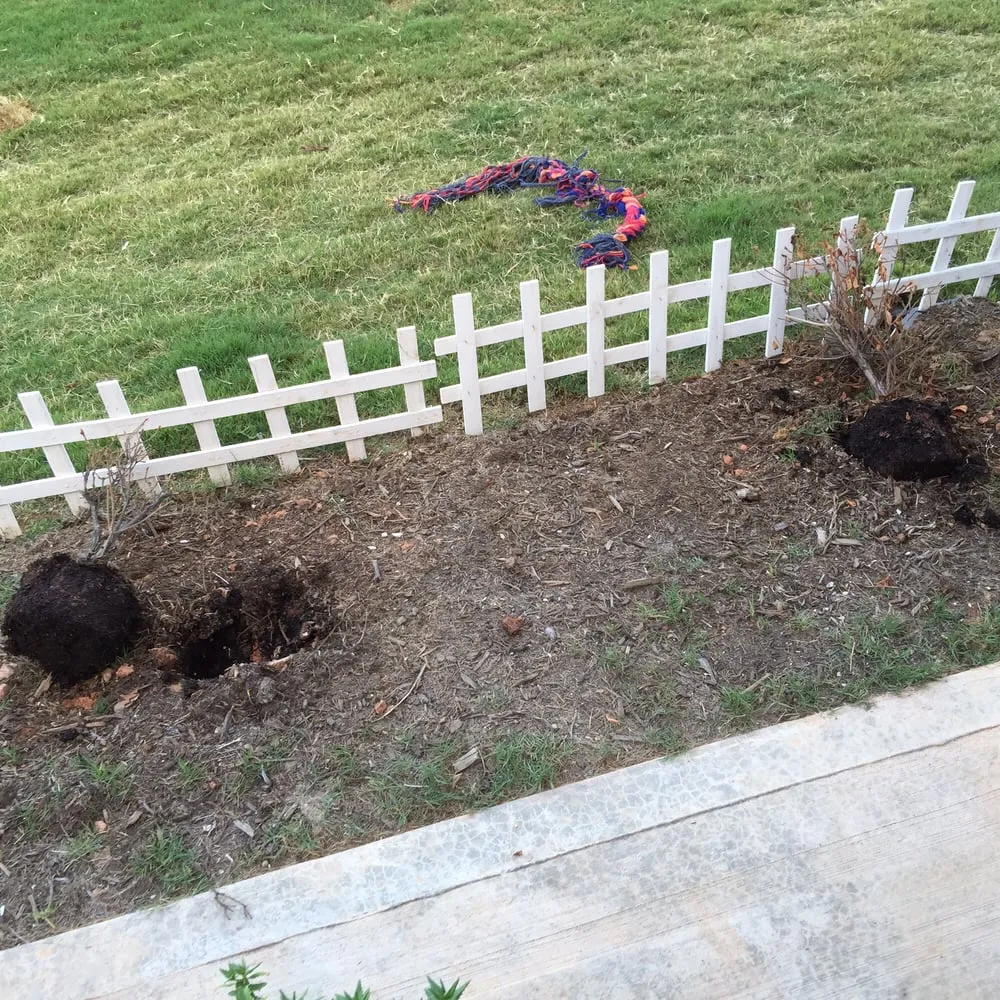 Top-rated yard cleanup service experts serving Spartanburg, SC - Sunburst Nursery and Landscape