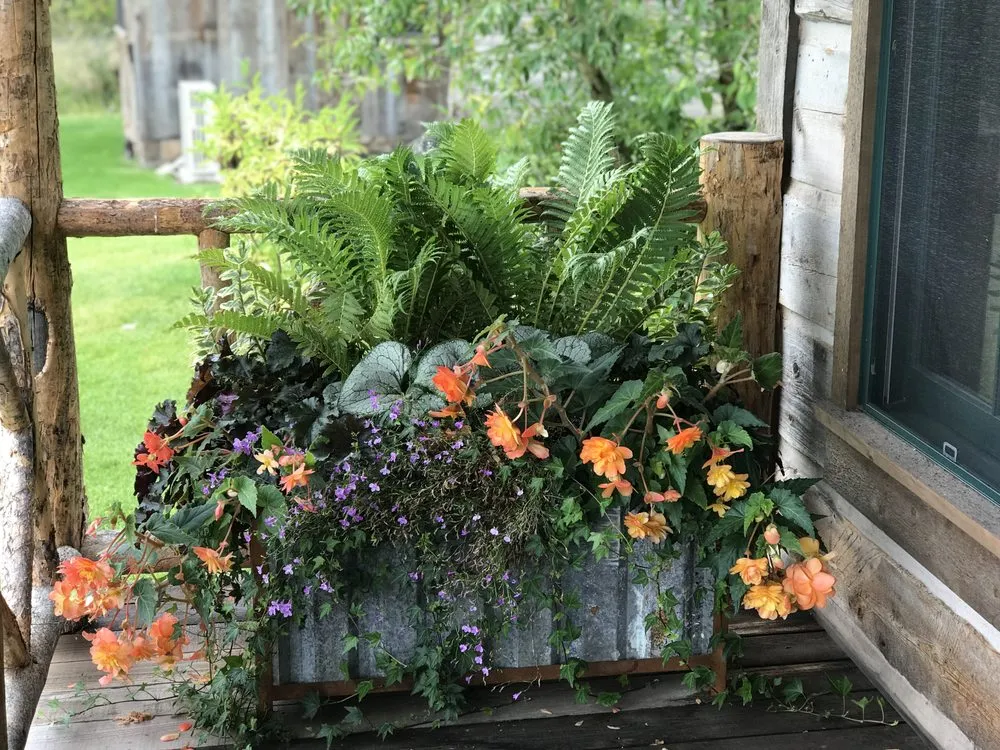 Reliable yard cleanup service in Livingston, MT by Suncatcher Gardens