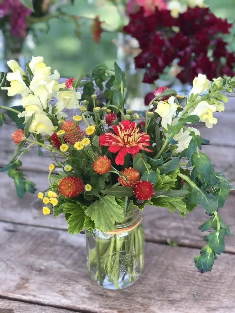 Affordable landscape installation in Livingston, MT - Suncatcher Gardens