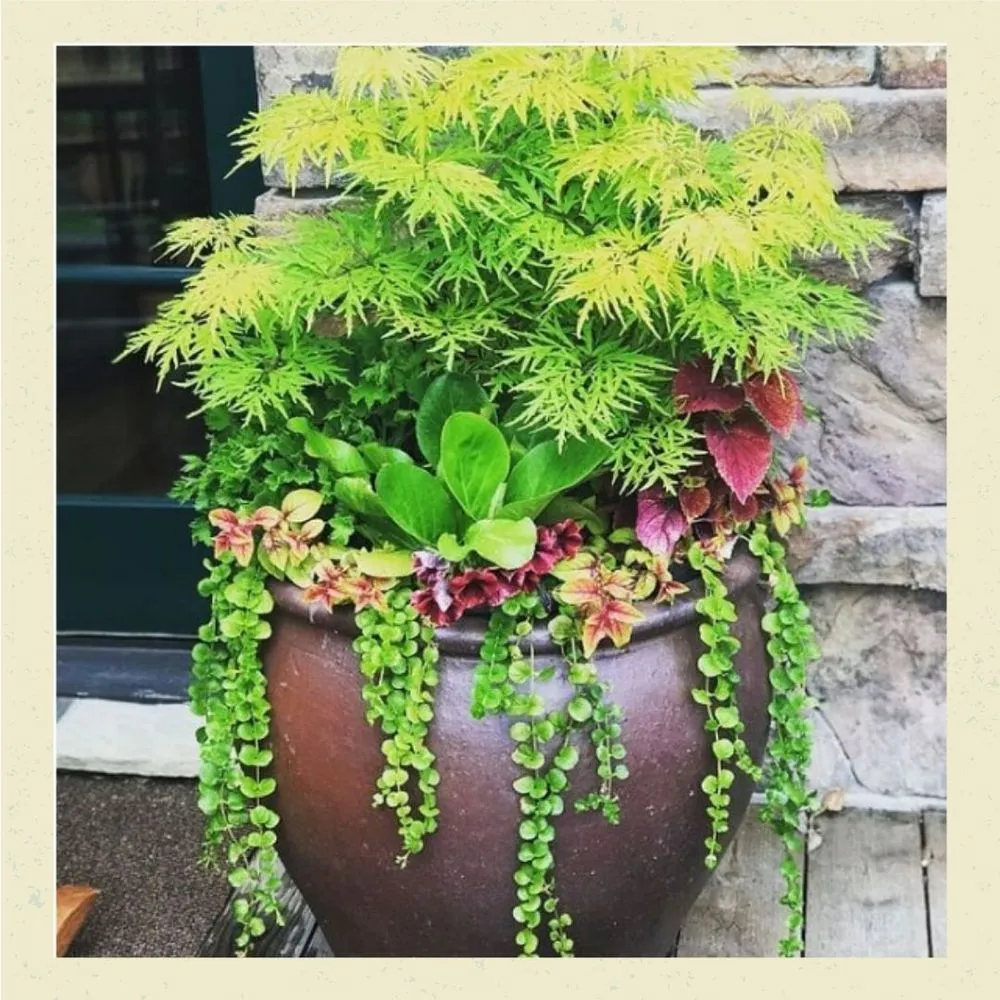 Top-rated landscaping services in Livingston, MT by Suncatcher Gardens