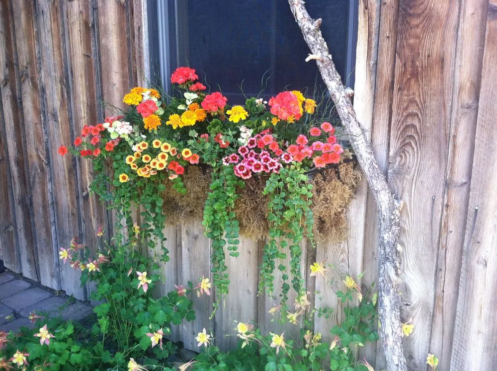 Reliable lawn care service experts serving Livingston, MT - Suncatcher Gardens