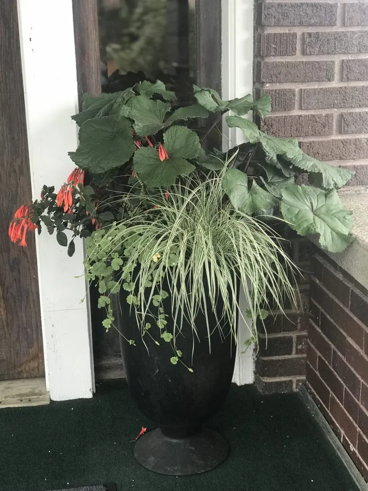 Professional lawn mowing service in Livingston, MT by Suncatcher Gardens