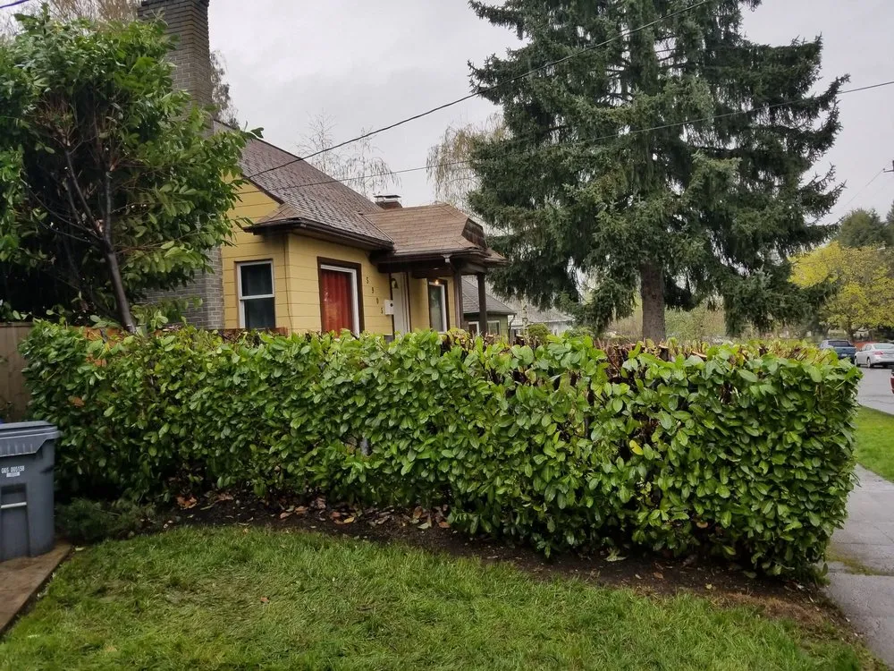 Professional yard maintenance experts serving Portland, OR - Sunchaser Gardening